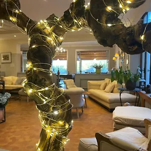 https://hotel-berneron.hotels-rhonealpes.com